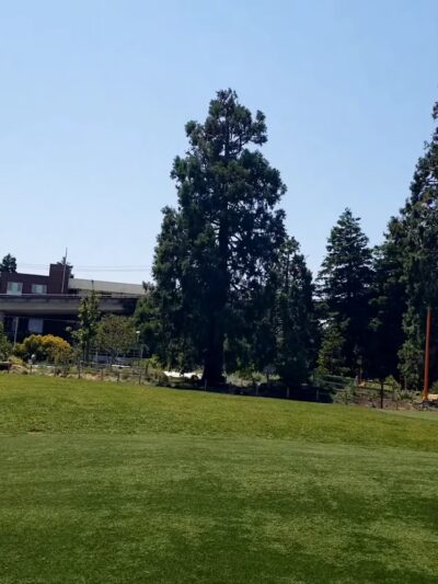 Esprit Park - San Francisco, CA