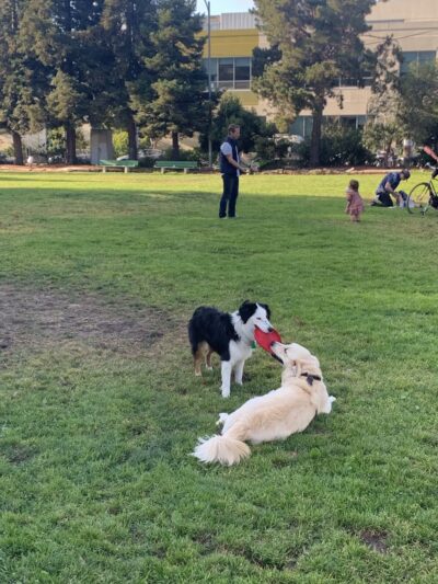 Esprit Park - San Francisco, CA