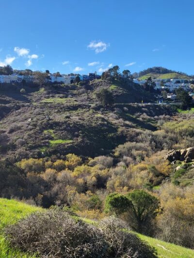Glen Canyon Park - San Francisco, CA