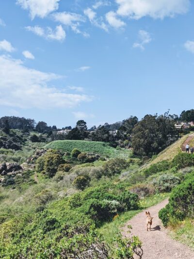Glen Canyon Park - San Francisco, CA
