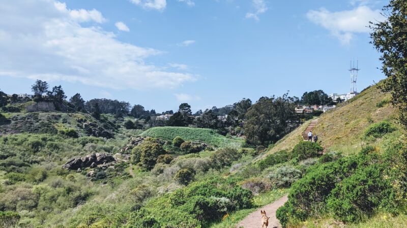 Glen Canyon Park - San Francisco, CA