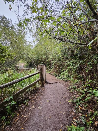 Glen Canyon Park - San Francisco, CA