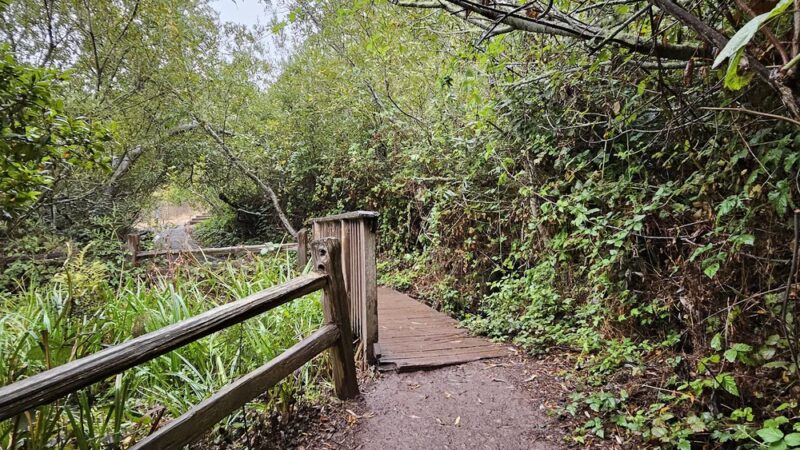 Glen Canyon Park - San Francisco, CA