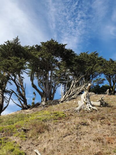 Grandview Park - San Francisco, CA