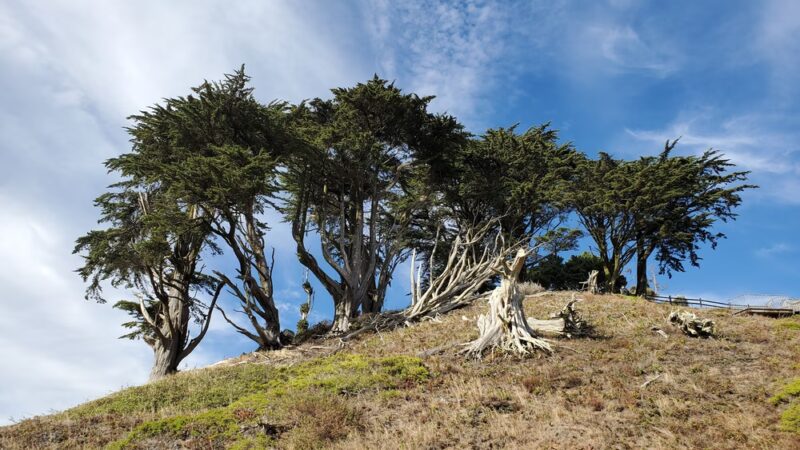 Grandview Park - San Francisco, CA