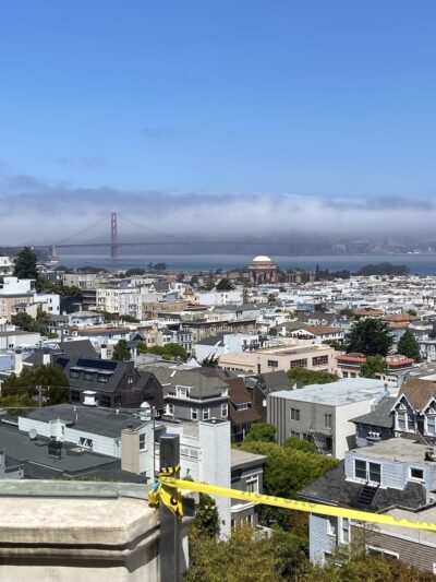 Dog Park - San Francisco, CA