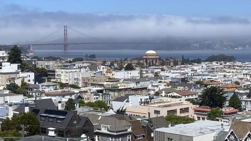 Dog Park - San Francisco, CA