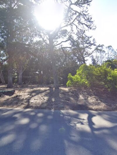 GGP Dog Play Area 3 - San Francisco, CA