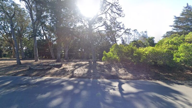 GGP Dog Play Area 3 - San Francisco, CA