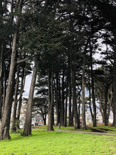 Holly Park - San Francisco, CA