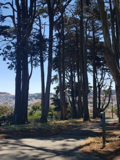 Holly Park - San Francisco, CA