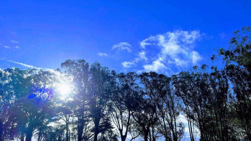 Holly Park - San Francisco, CA