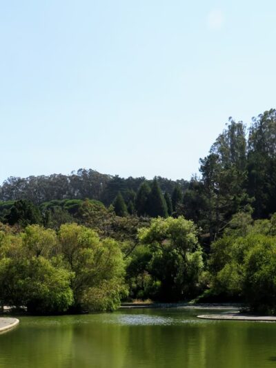 John McLaren Park - San Francisco, CA