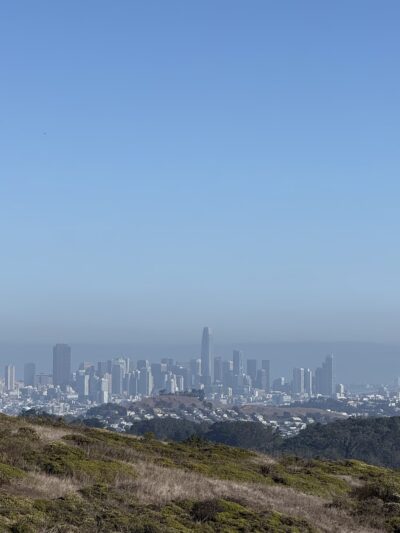 McLaren Park Dog Play Area 2 - San Francisco, CA