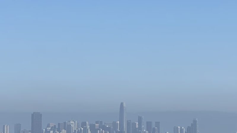 McLaren Park Dog Play Area 2 - San Francisco, CA