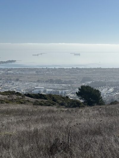 McLaren Park Dog Play Area 2 - San Francisco, CA