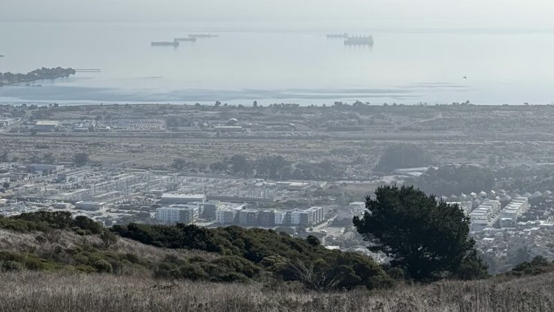 McLaren Park Dog Play Area 2 - San Francisco, CA