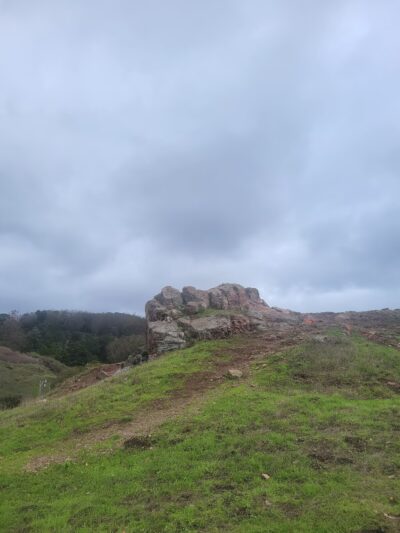McLaren Park Dog Play Area - San Francisco, CA