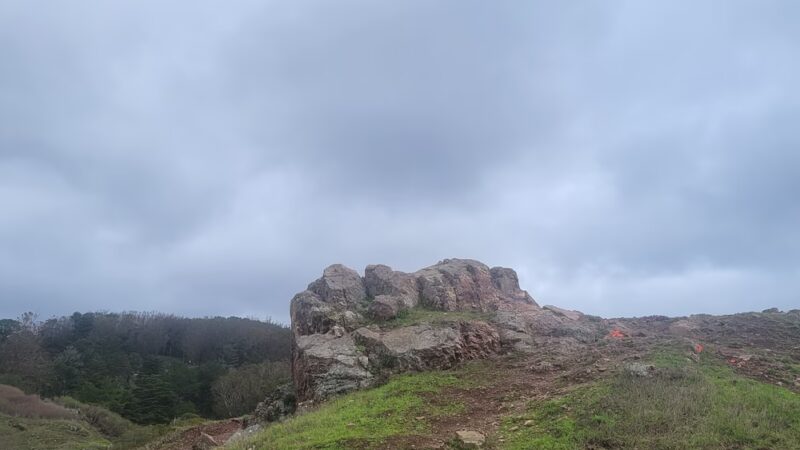McLaren Park Dog Play Area - San Francisco, CA