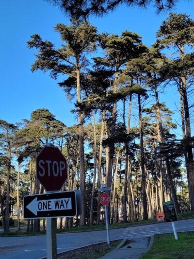 Presidio Amatury Park - San Francisco, CA