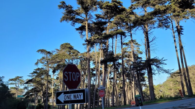 Presidio Amatury Park - San Francisco, CA