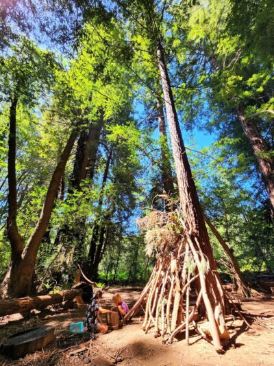 Roy's Redwoods Open Space Preserve - San Geronimo, CA