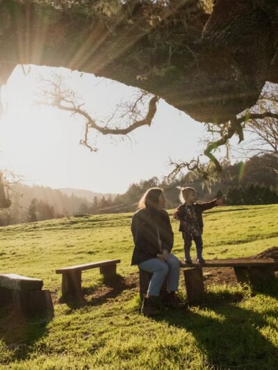San Geronimo Commons - San Geronimo, CA