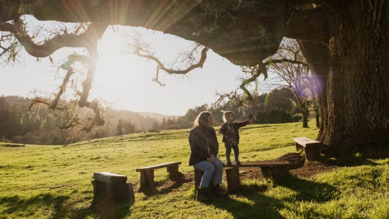 San Geronimo Commons - San Geronimo, CA