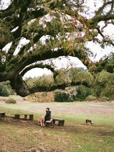 San Geronimo Commons - San Geronimo, CA