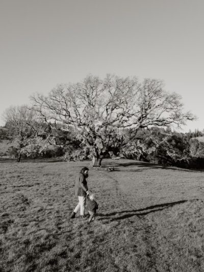 San Geronimo Commons - San Geronimo, CA
