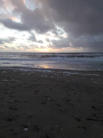 Pescadero Beach State Park N. - San Gregorio, CA