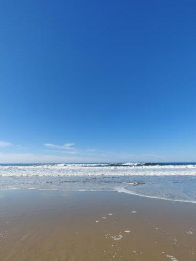Pescadero Beach State Park N. - San Gregorio, CA