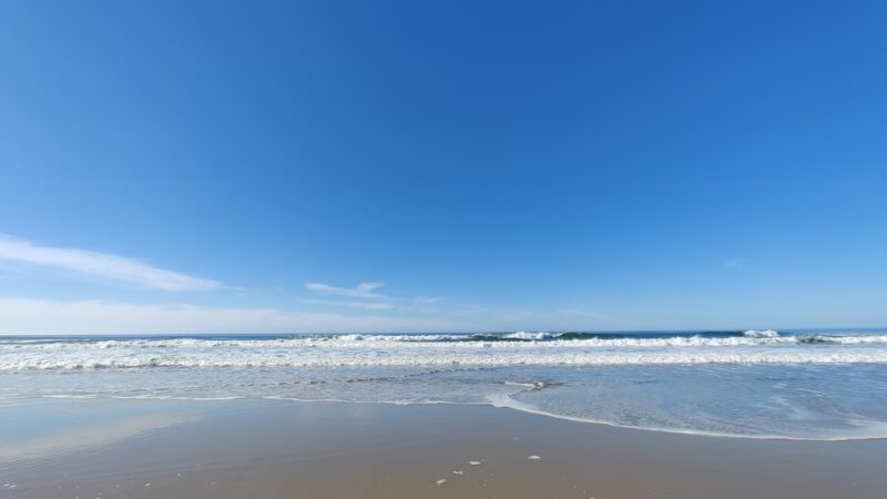 Pescadero Beach State Park N. - San Gregorio, CA