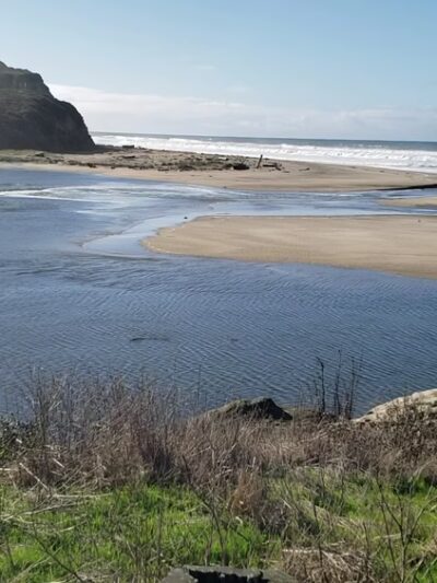 San Gregorio State Beach - San Gregorio, CA