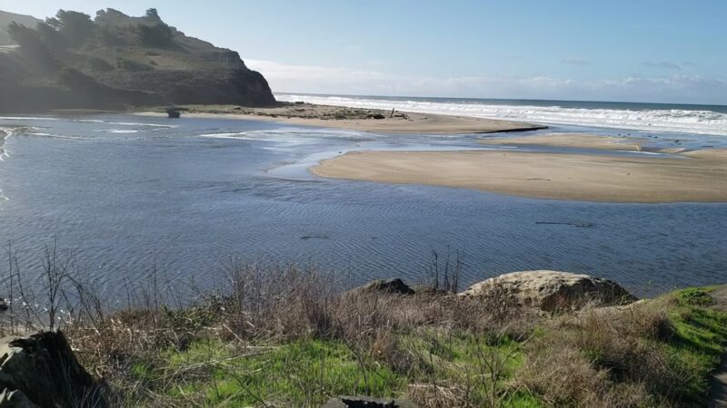 San Gregorio State Beach - San Gregorio, CA