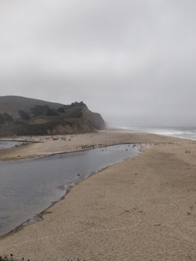 San Gregorio State Beach - San Gregorio, CA