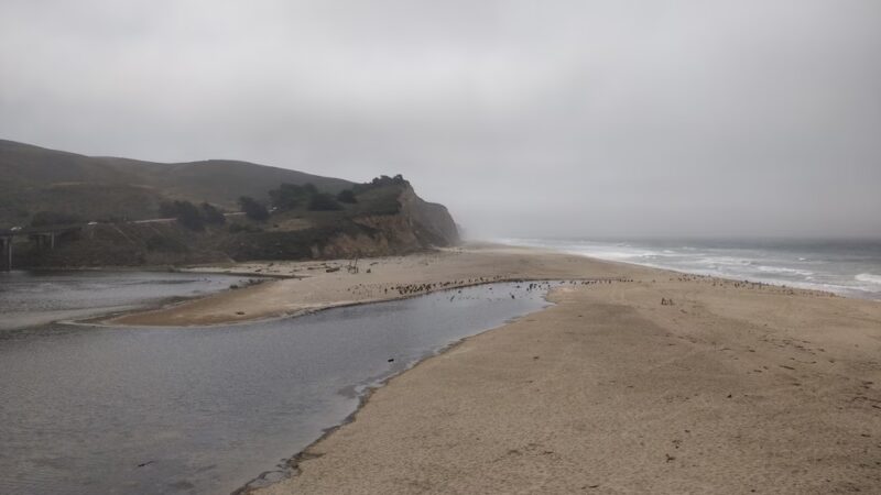 San Gregorio State Beach - San Gregorio, CA