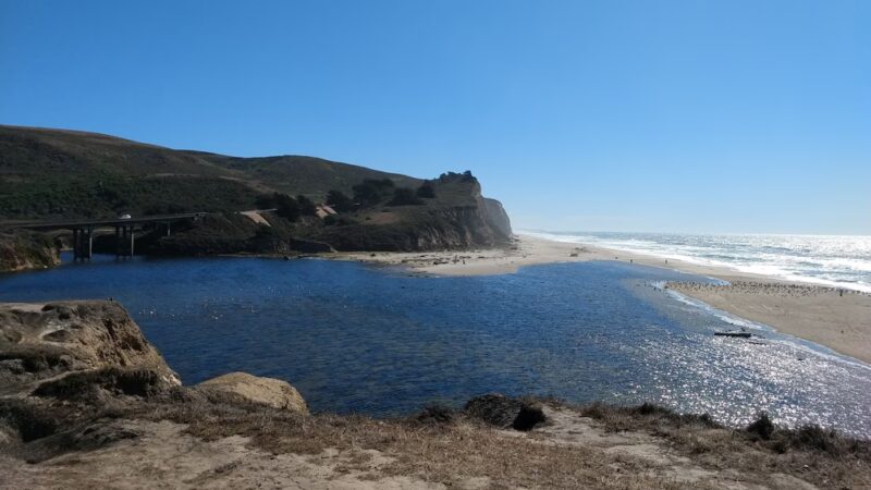 San Gregorio State Beach - San Gregorio, CA
