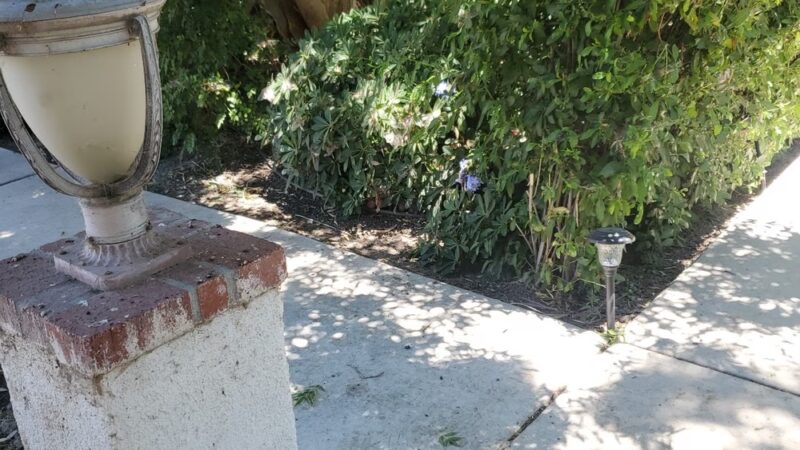 Park - San Jacinto, CA