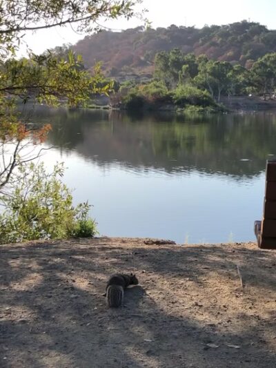 Almaden Lake Park - San Jose, CA