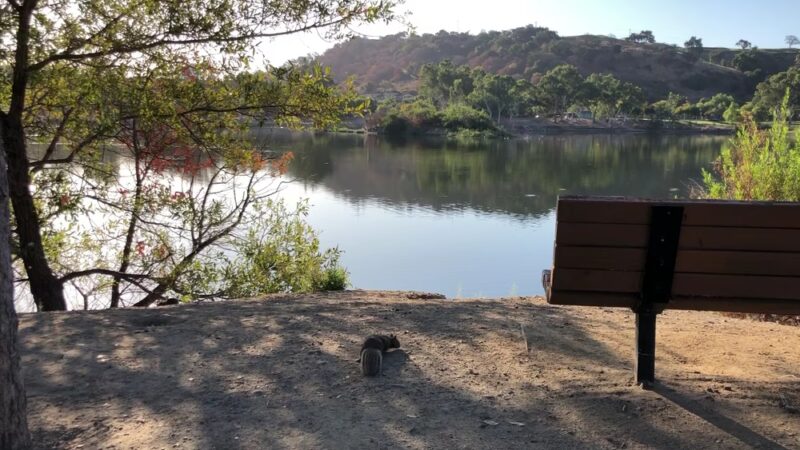 Almaden Lake Park - San Jose, CA