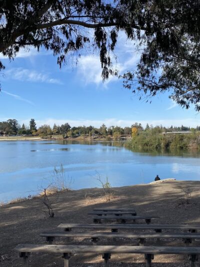 Almaden Lake Park - San Jose, CA