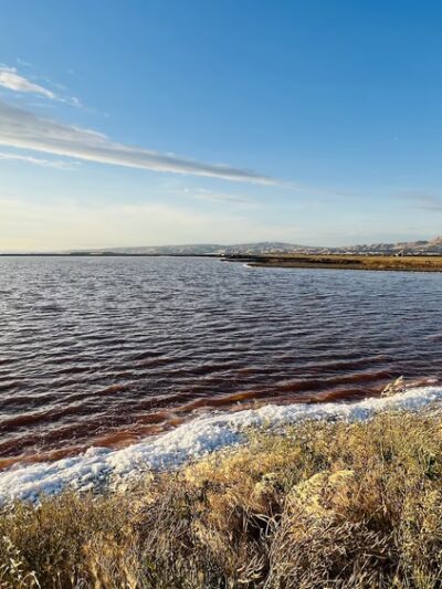 Alviso Park - San Jose, CA