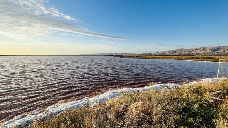 Alviso Park - San Jose, CA