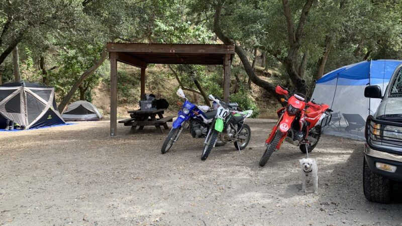 Madrone Campground - San Juan Bautista, CA