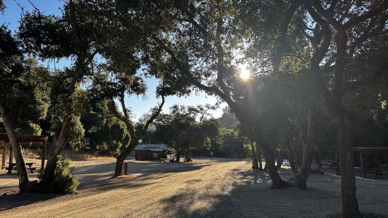 Madrone Campground - San Juan Bautista, CA