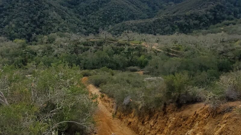 Madrone Campground - San Juan Bautista, CA