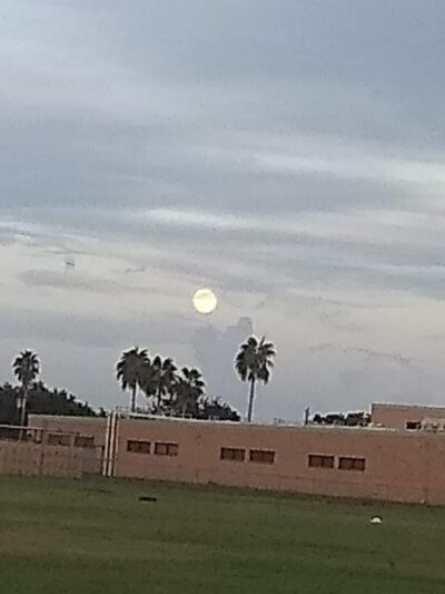 Mayfield Park - San Juan, TX