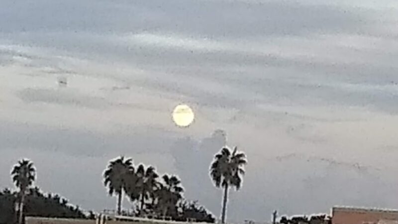 Mayfield Park - San Juan, TX