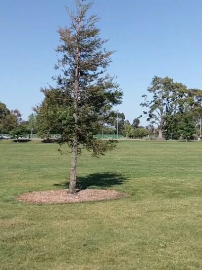Marina Park - San Leandro, CA